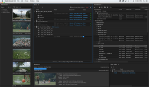 Adobe Media Encoder 2020 Grieta Versión Completa